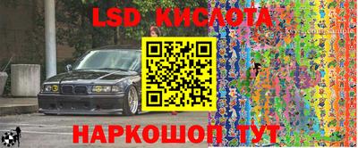 прущие грибы Гусев