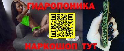 гидропоника Гусиноозёрск
