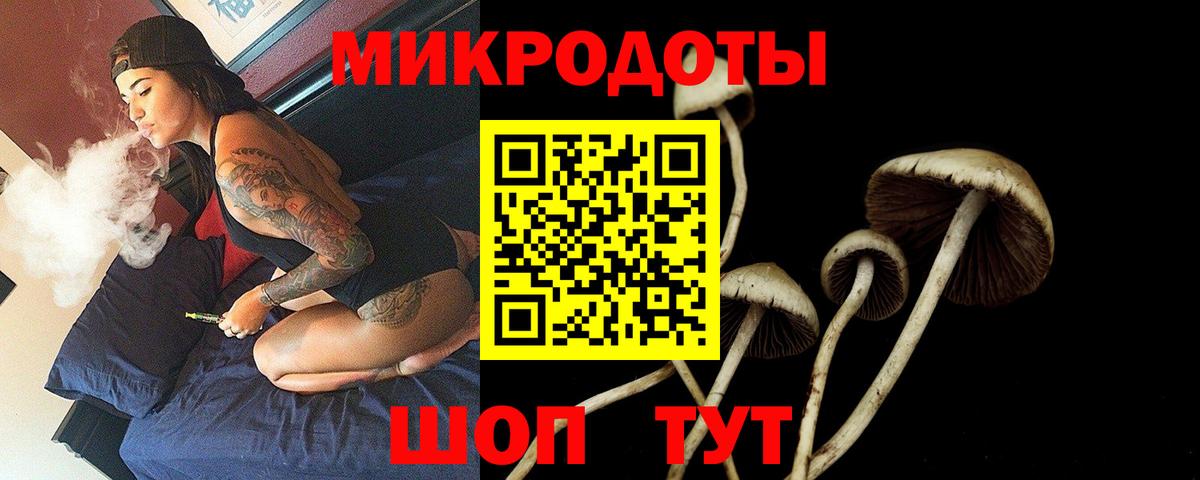 Псилоцибиновые грибы Psilocybine cubensis  Вход с VPN  Новоалександровск 